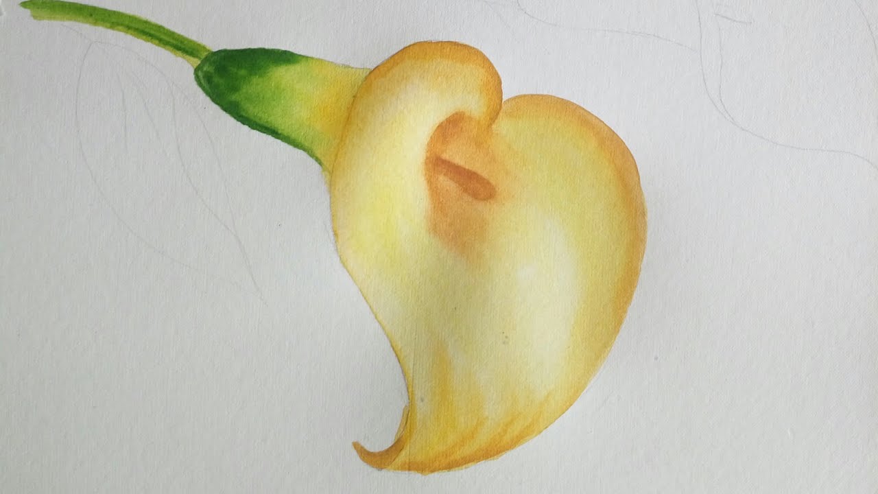 1280x720 How To Paint Calla Lilywatercolour - Calla Lily Watercolor Painting