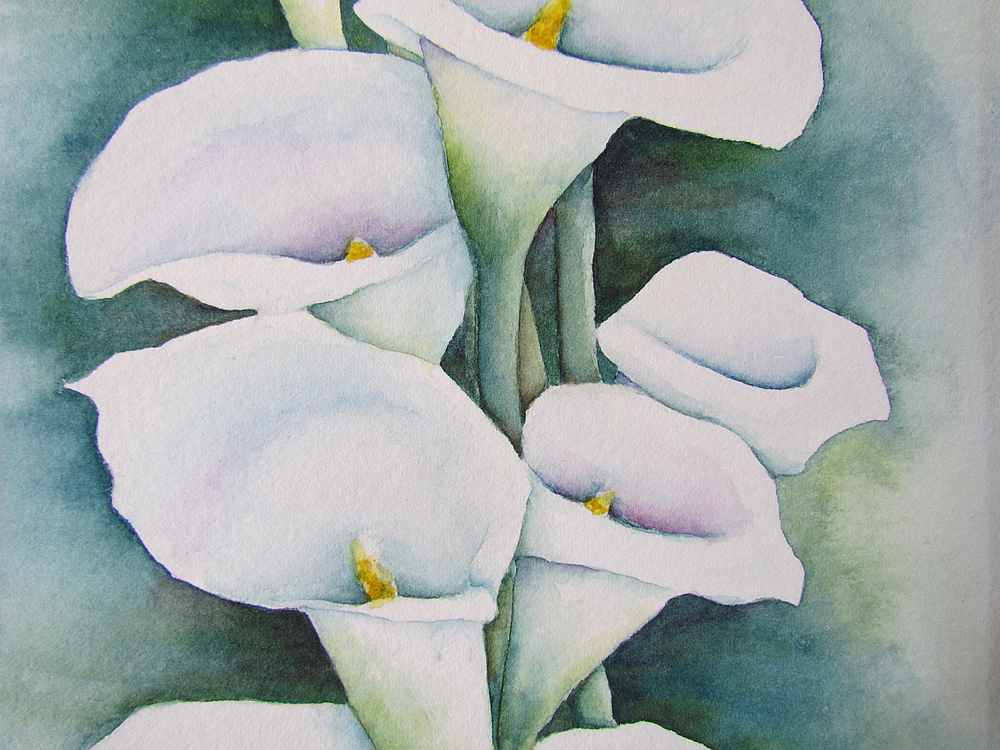 1000x750 Watercolors Plus Galleries Custom Wedding Theme Watercolor - Calla Lily Watercolor Painting