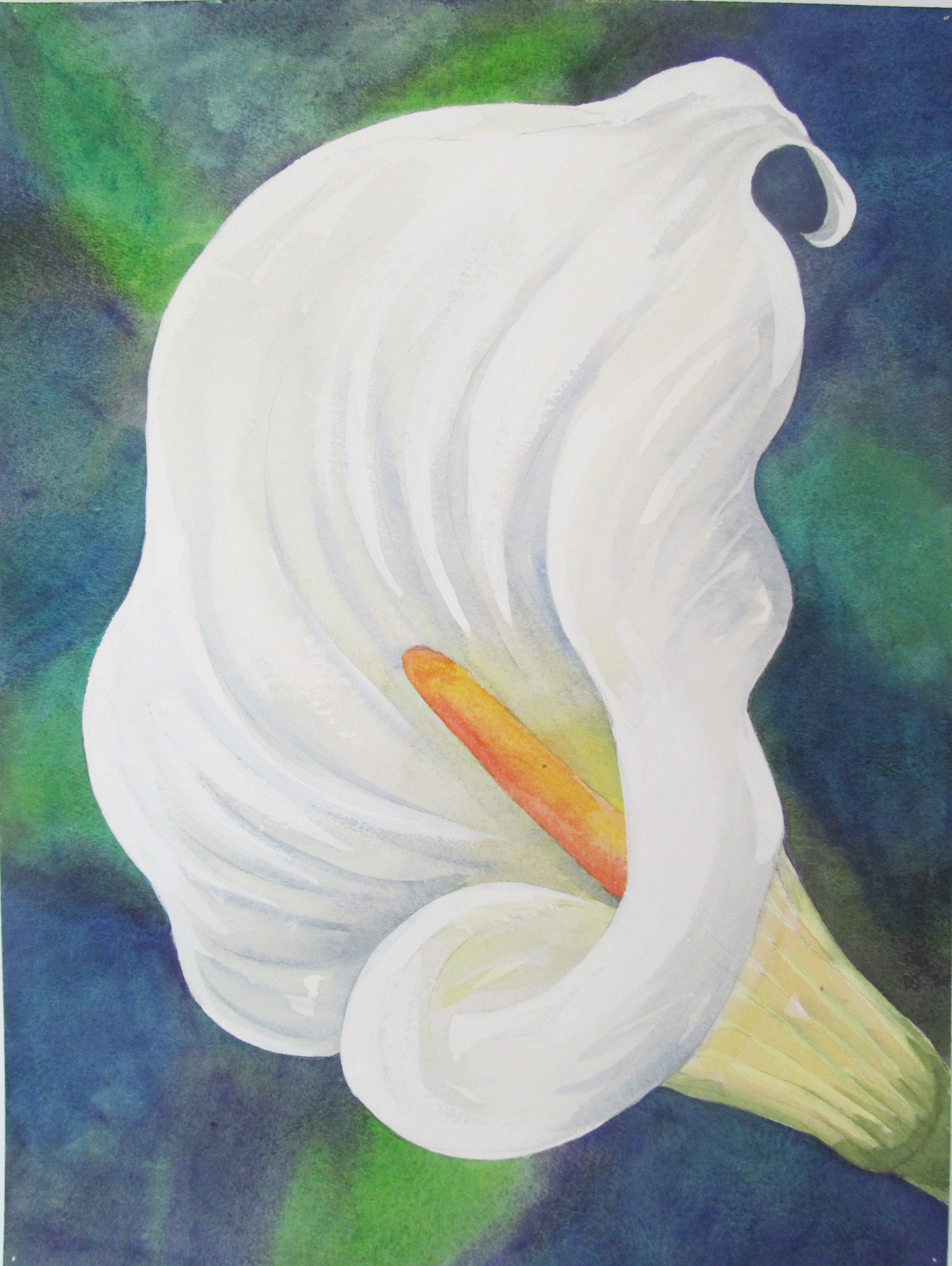 2076x2760 Beauty Of Watercolor - Calla Lily Watercolor Painting