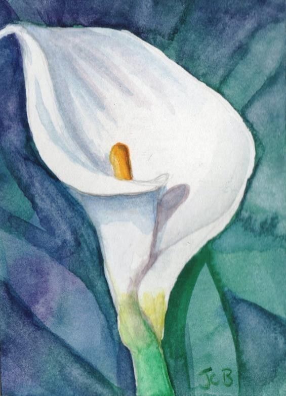 Calla Lily Watercolor Painting at PaintingValley.com | Explore ...