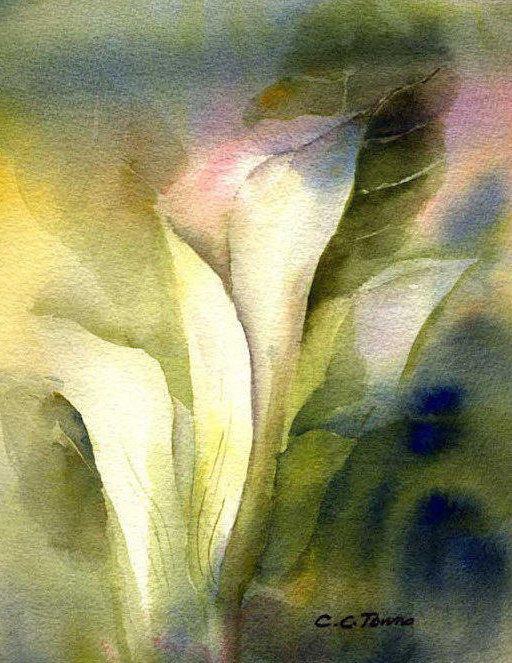 512x663 Calla Lily Watercolor Painting Print By Connietownsart Fine - Calla Lily Watercolor Painting