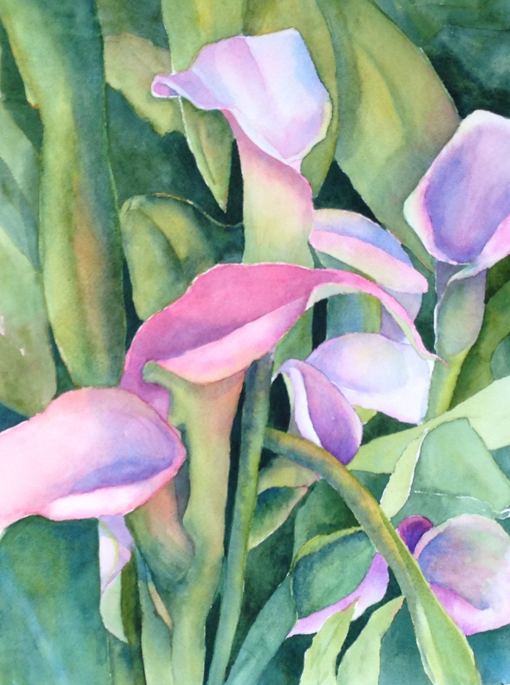 1000x1344 Calla Lilies, 11x14 Watercolor, Matted. Price Includes Shipping - Calla Lily Watercolor Painting