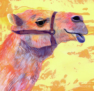 300x292 Camel Paintings Fine Art America - Camel Painting