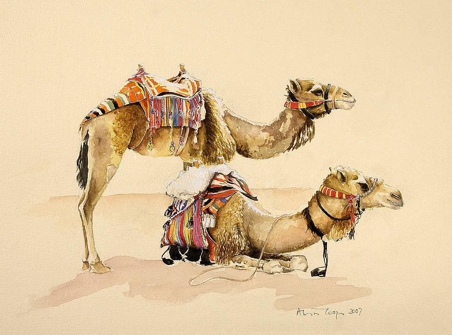 900x666 Camels From Petra Painting By Alison Cooper - Camel Painting