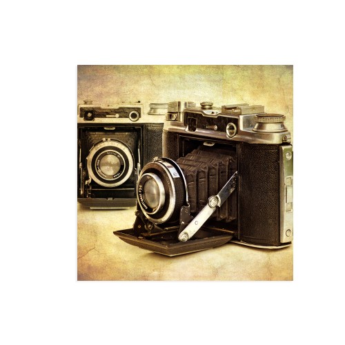 500x500 Vintage Camera Wall Painting - Camera Painting