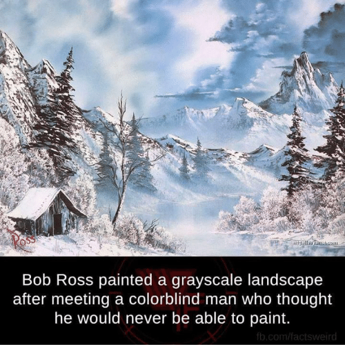 500x522 Bob Ross Painted A Grayscale Landscape After Meeting A Colorblind - Can I Buy A Bob Ross Painting