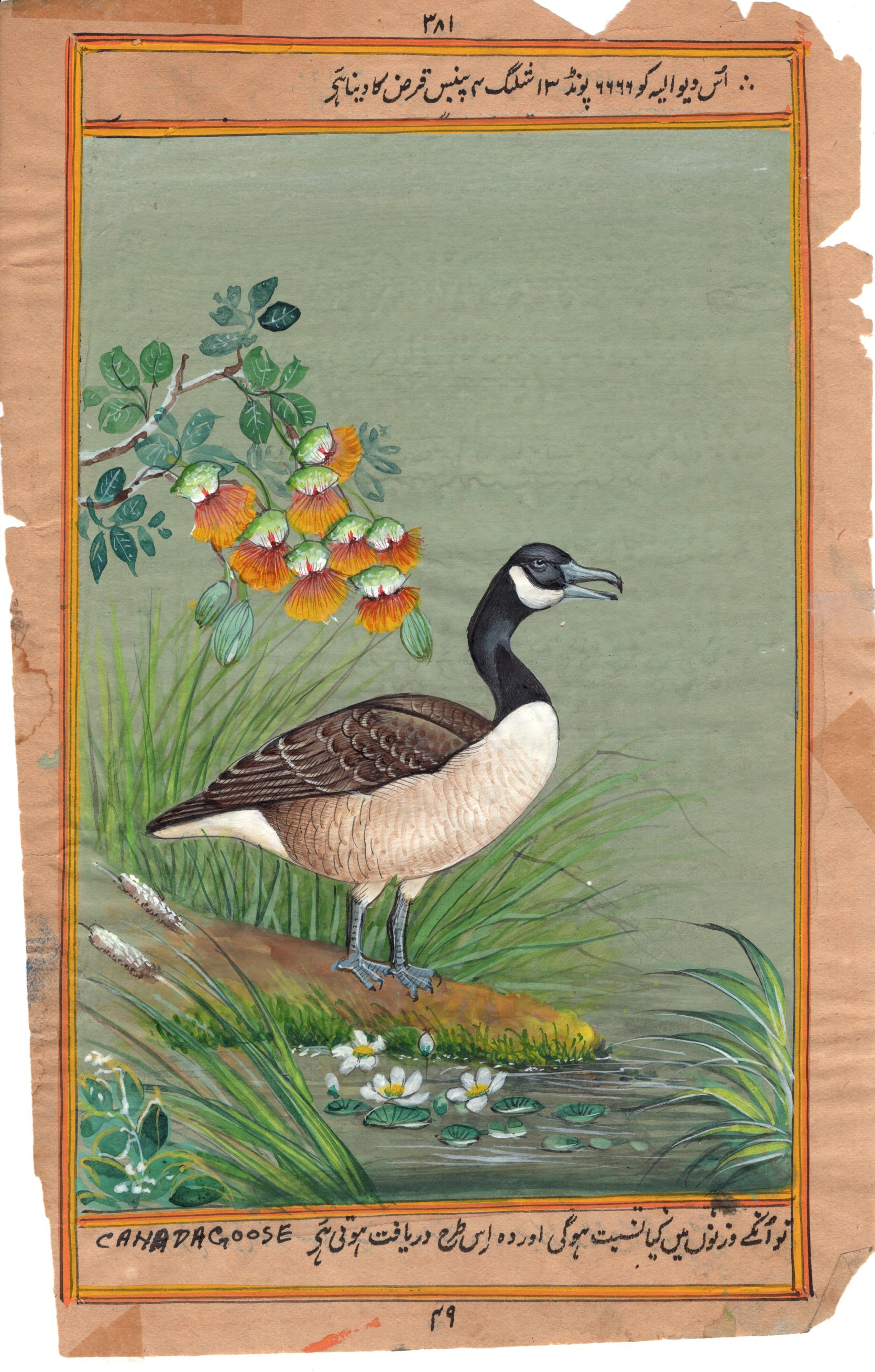 1670x2619 Canada Goose Painting Handmade Indian Miniature North American - Canada Goose Painting