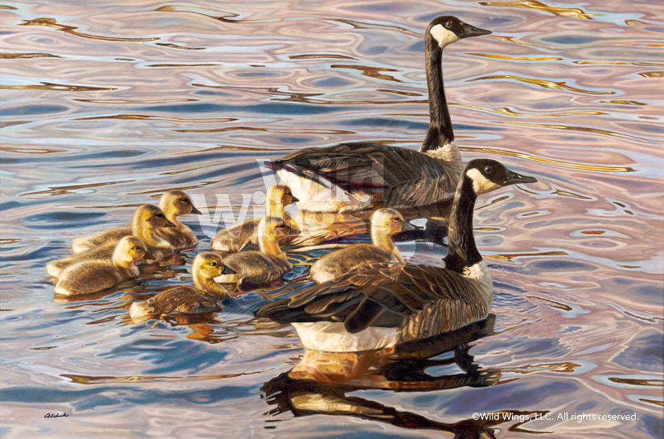 965x638 Canadian Armada Canada Goose Original Oil Painting Wild Wings - Canada Goose Painting