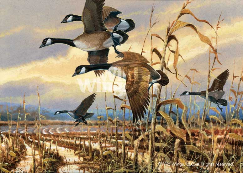 775x553 Day Is Done - Canada Goose Painting