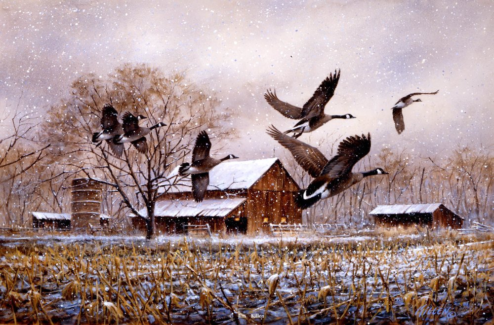 1000x659 Goose Music Canada Geese Painting By Jim Killen - Canada Goose Painting