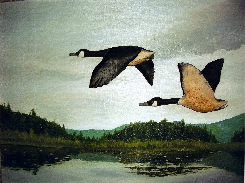 476x356 Love Canada Geese Paintings - Canada Goose Painting