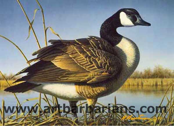 600x434 Wildlife Art Prints Plus Original Paintings With A Wide Selection - Canada Goose Painting