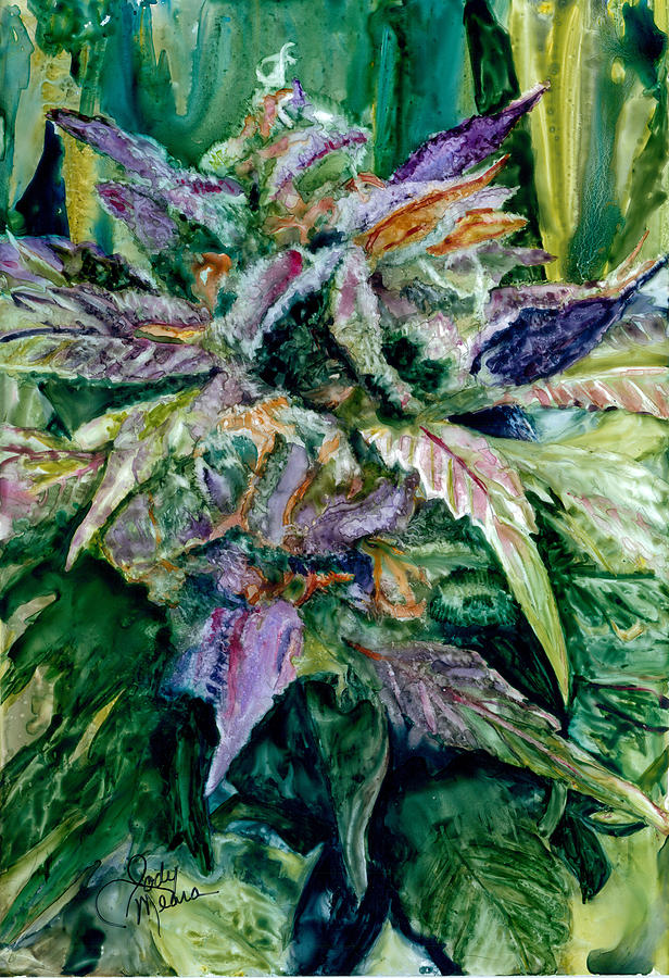 616x900 Cannabis Painting By Jody O'Meara - Cannabis Painting