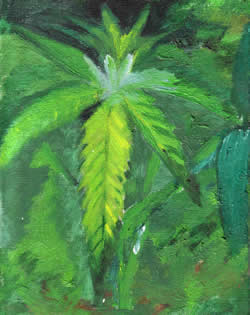 250x315 Cannabis Plant Oil Painting By Tripaddict - Cannabis Painting