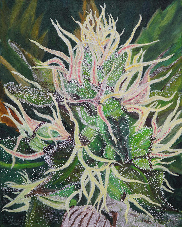 724x900 Ms. Universe - Cannabis Painting