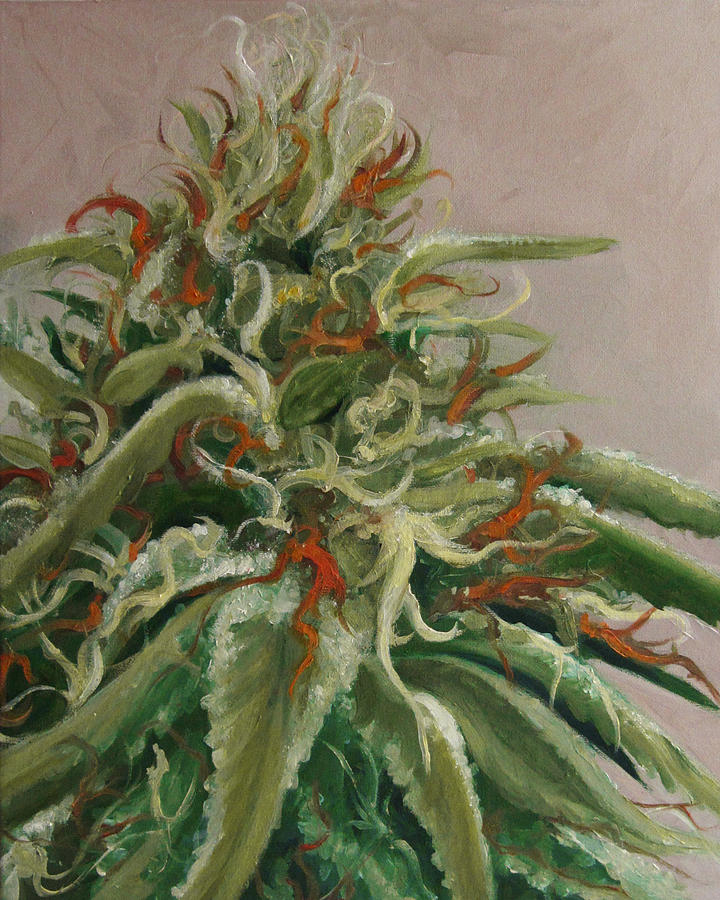 720x900 Orange Dreamsicle Painting By Cristin Paige - Cannabis Painting