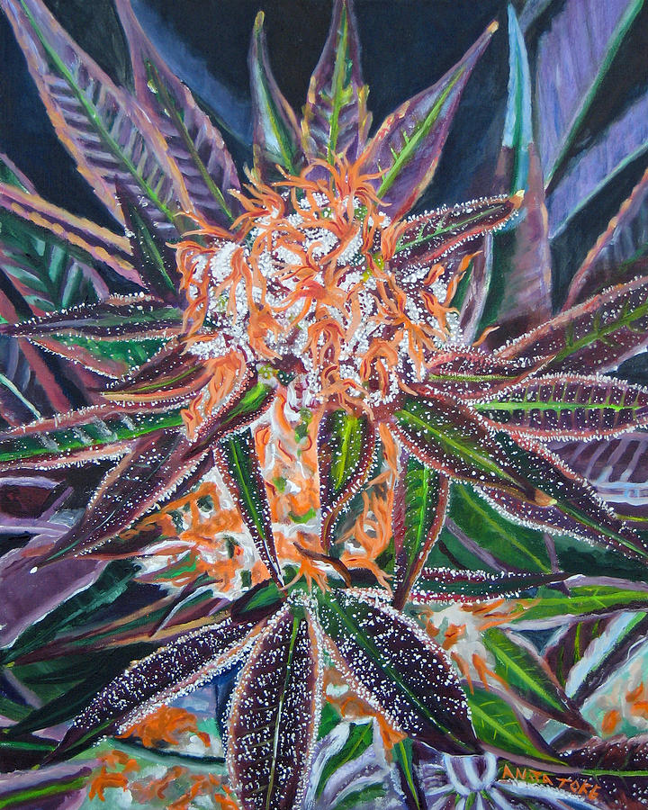 720x900 Qrazy Train - Cannabis Painting