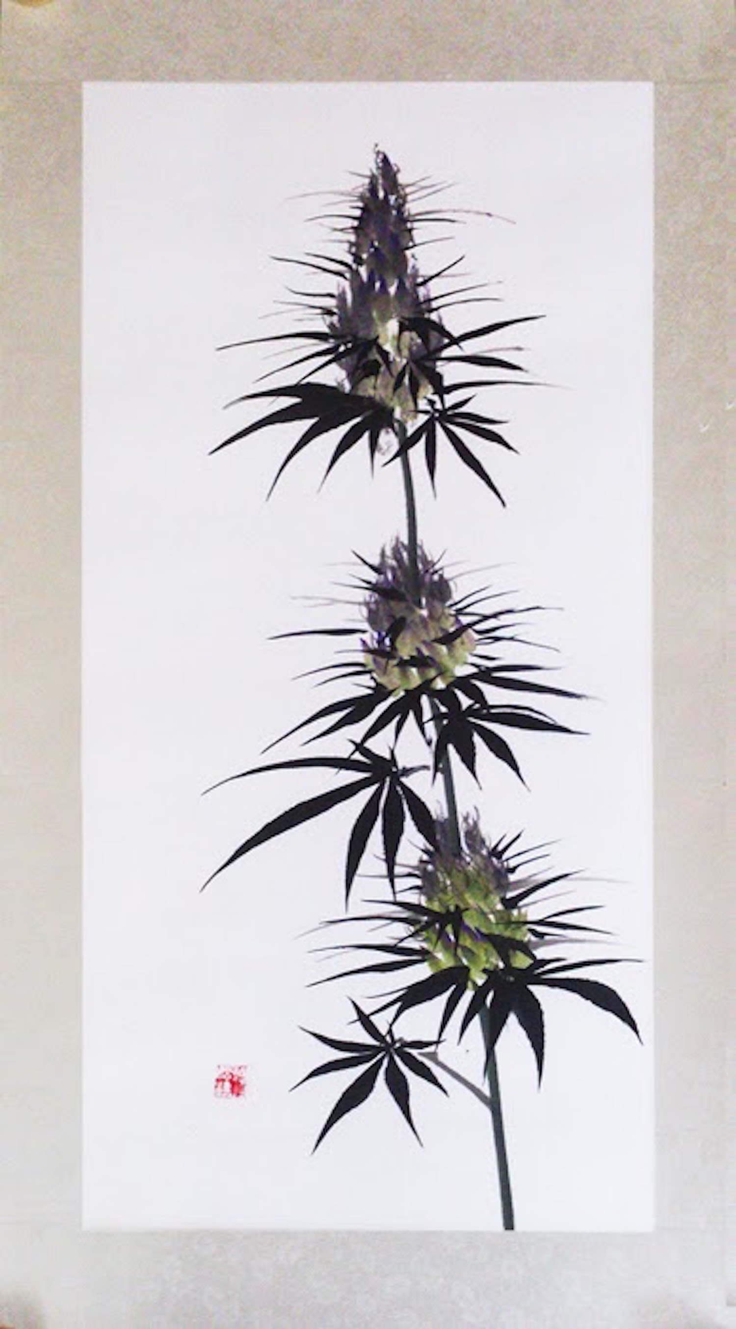 1500x2706 Traditional Chinese Paintings Of Cannabis Aim To Change - Cannabis Painting