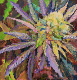 248x257 Art In Cannabis - Cannabis Painting