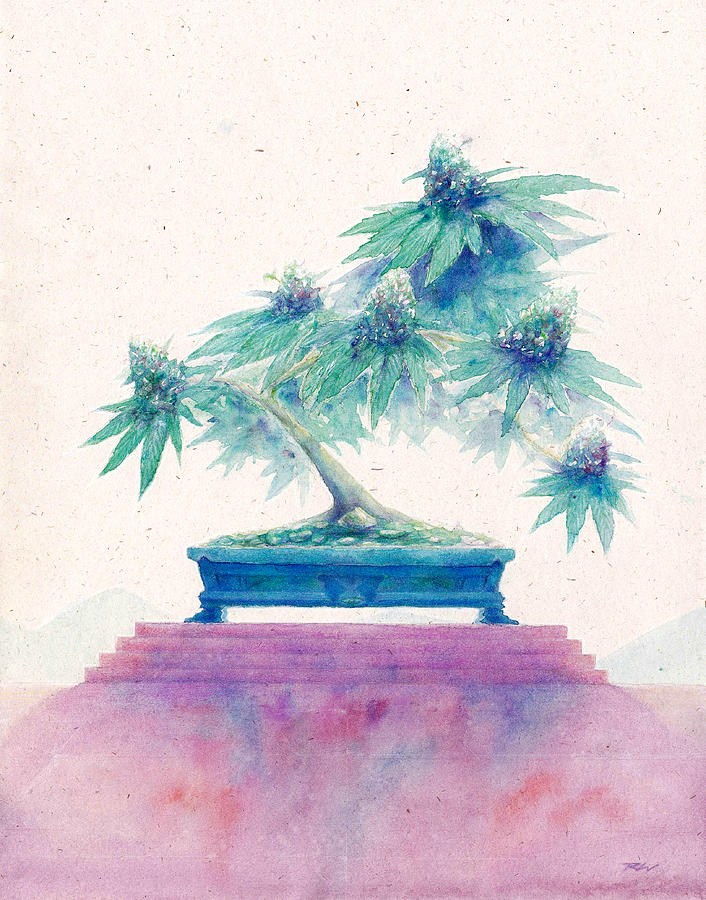 706x900 Bonsai Cannabis Two Painting By Raymond L Warfield Jr - Cannabis Painting