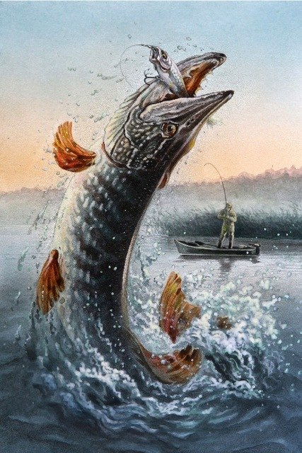 427x640 Diy Frame Fisherman Canoe Hook Fishing Pisces Jump Poster Painting - Canoe Painting