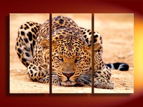 500x375 Animal Oil Painting On Canvas From China Manufacturer - Canvas Animal Painting