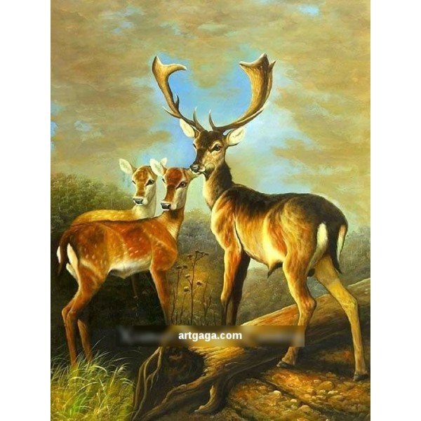 600x600 Hand Paint Animal Oil Painting Technique Canvas Wall Art Home - Canvas Painting Animals