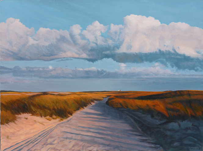 665x497 Tom Steinmann, Cape Cod Artist - Cape Cod Painting