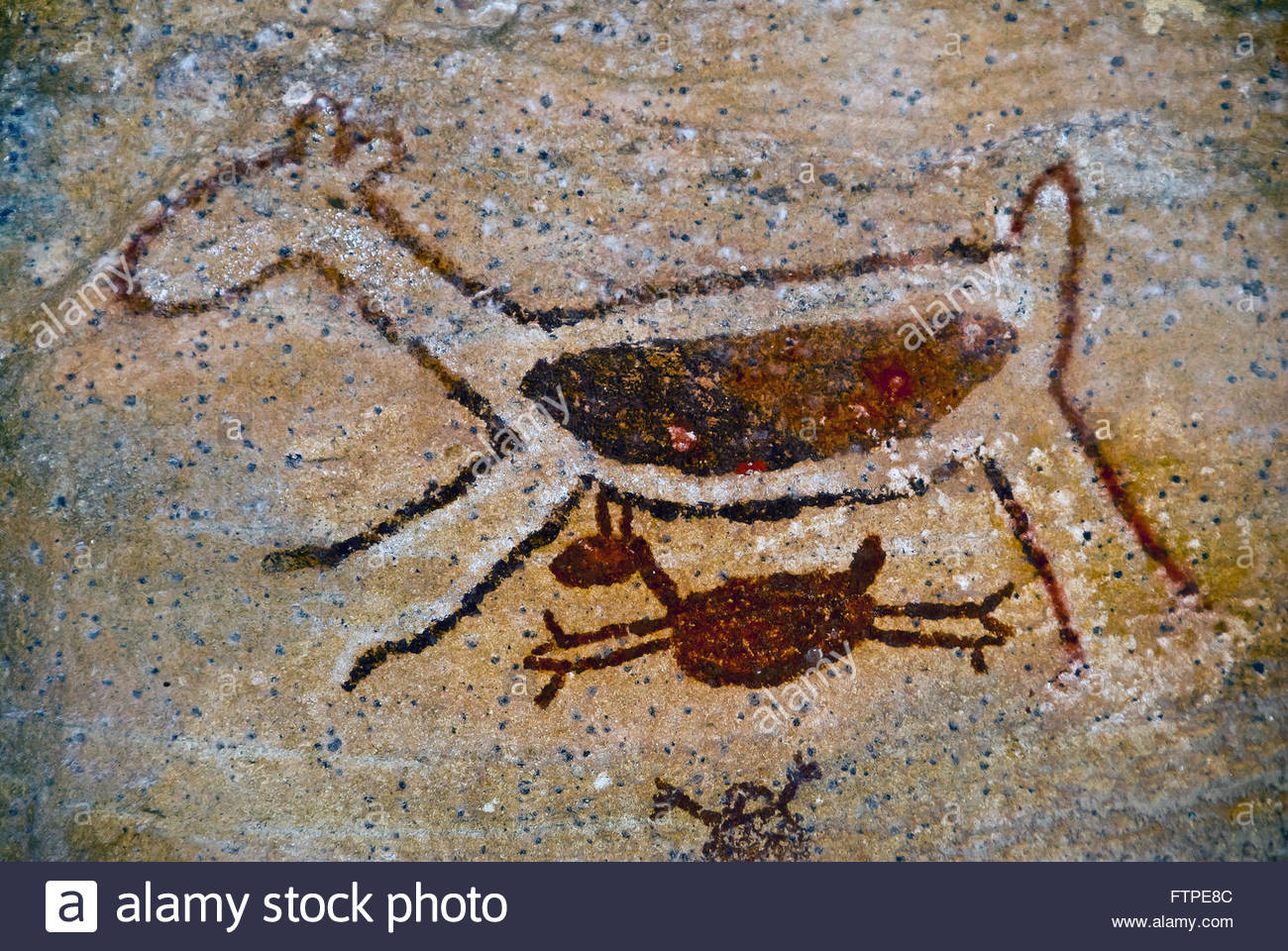 1300x960 Rock Painting Capybara - Capybara Painting