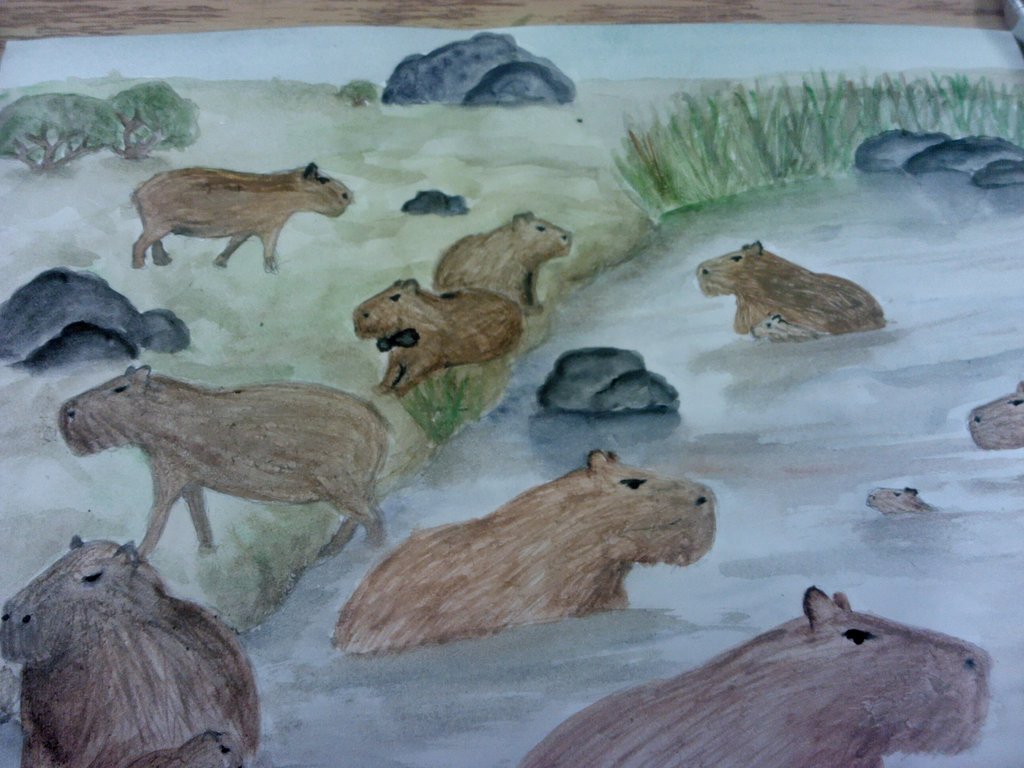 1024x768 Capybara By I Like Capybaras - Capybara Painting