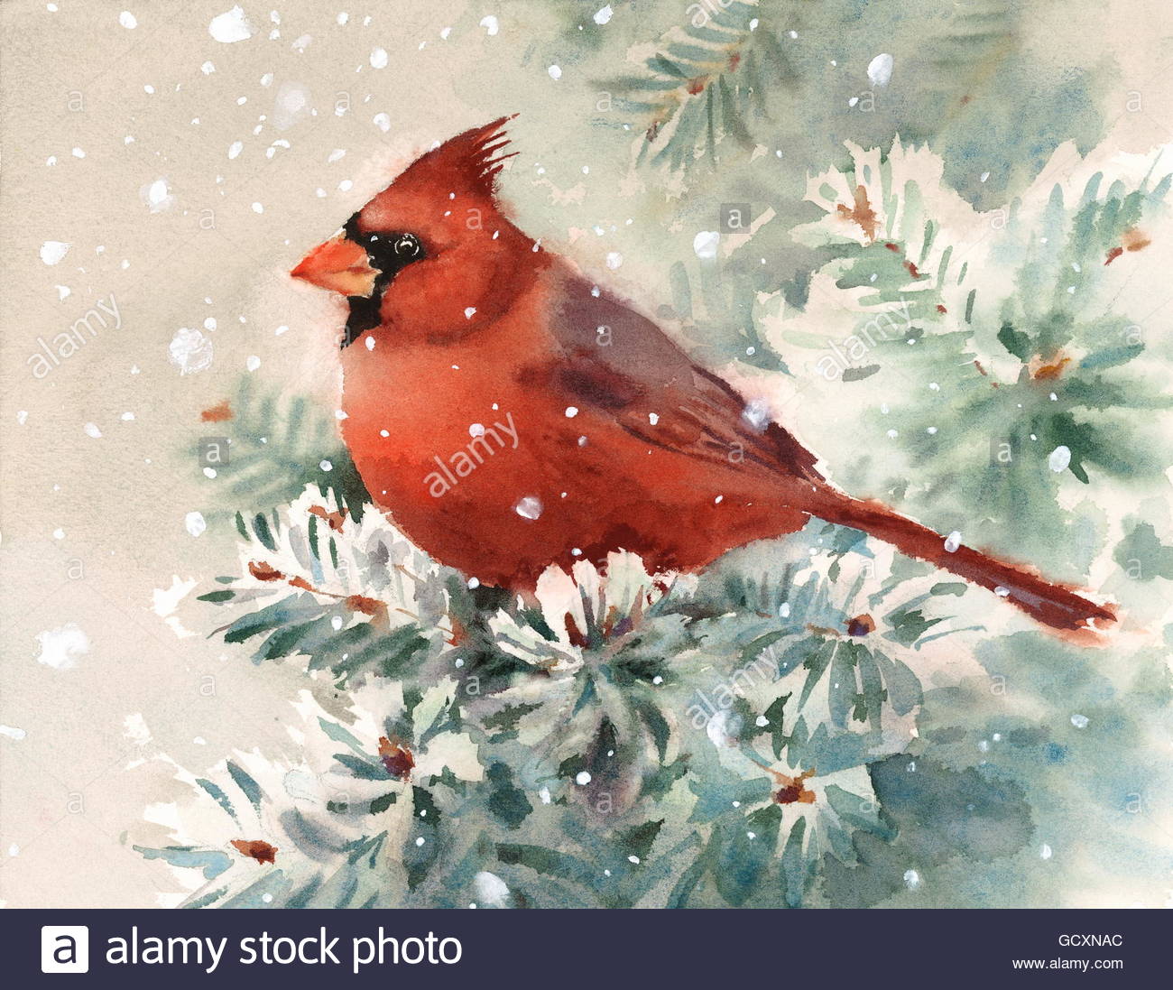 1300x1097 Watercolor Bird Red Cardinal Hand Painted Christmas Winter Snow - Cardinal Bird In Snow Painting