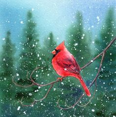 236x238 Barbara Fox ( B.1940) Free As A Bird - Cardinal Bird In Snow Painting