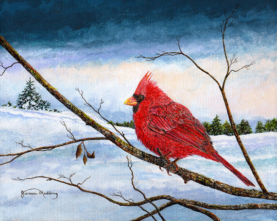 570x456 Cardinal Bird Snow Painting Winter Landscape Red - Cardinal Bird In Snow Painting