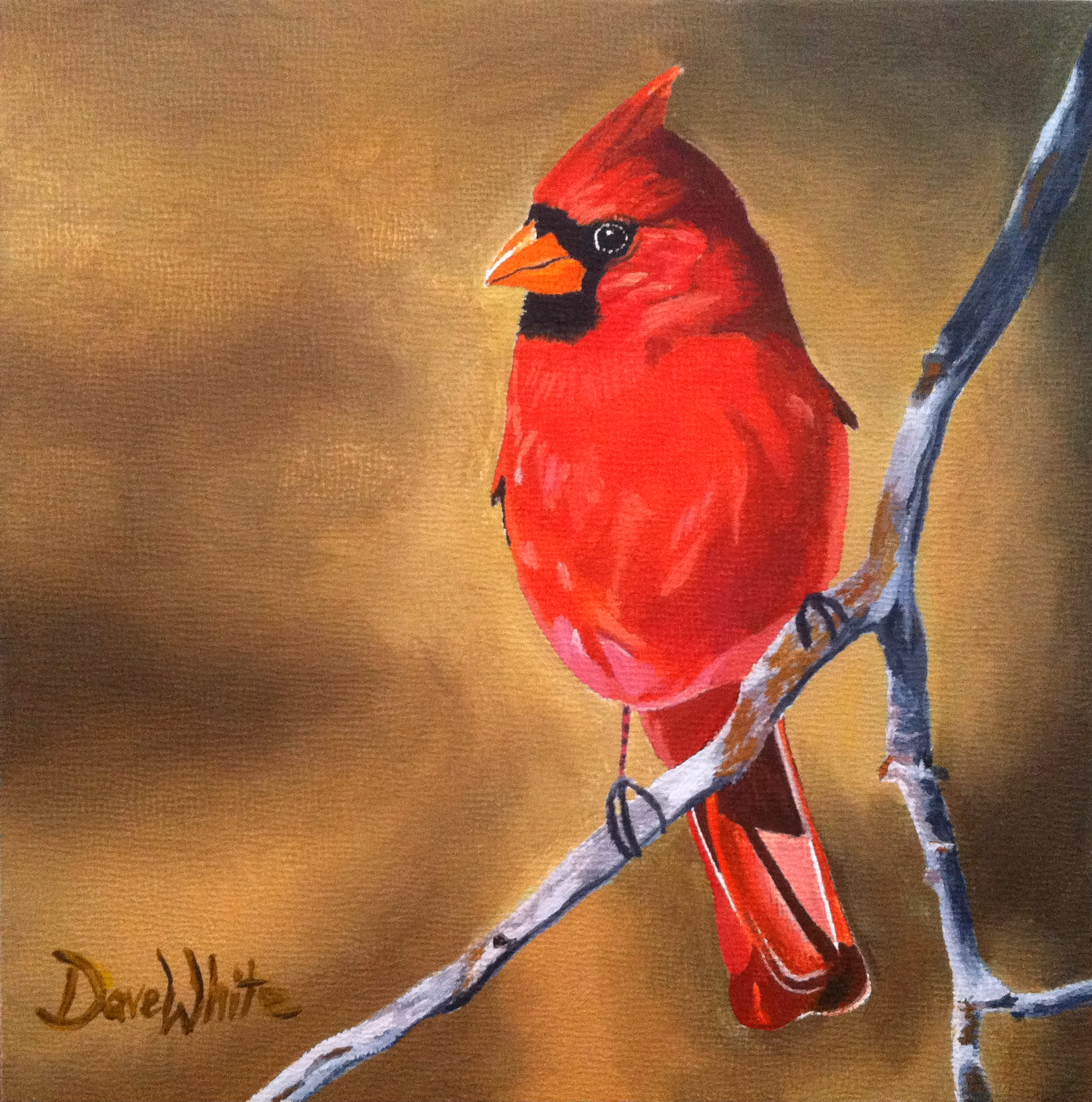 1660x1675 Cardinal Bird Painting Fine Artist - Cardinal Bird Painting