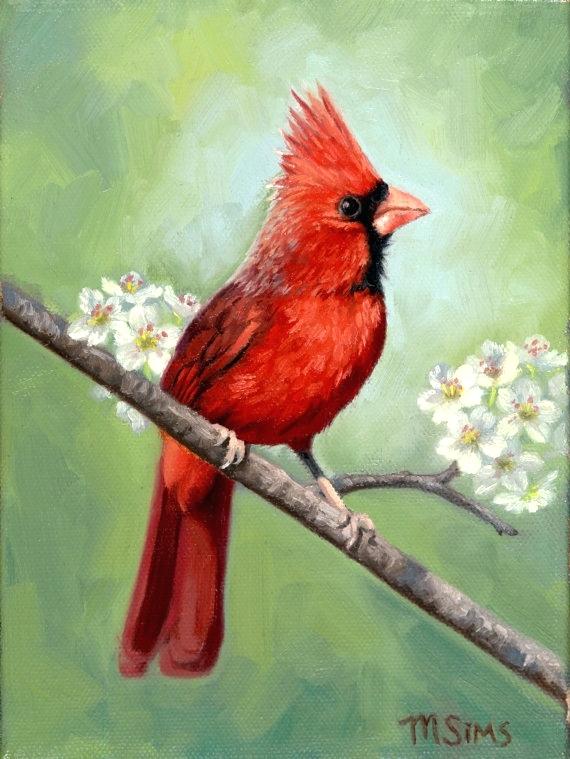 570x759 Cardinal Painting Cardinal Painting Tutorial Amati.club - Cardinal Bird Painting