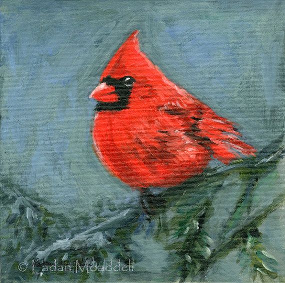 570x565 Cardinal Bird - Cardinal Bird Painting