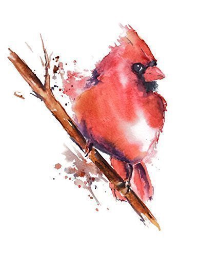 388x500 Cardinal Watercolor Art Print By Nancy Knight - Cardinal Bird Painting