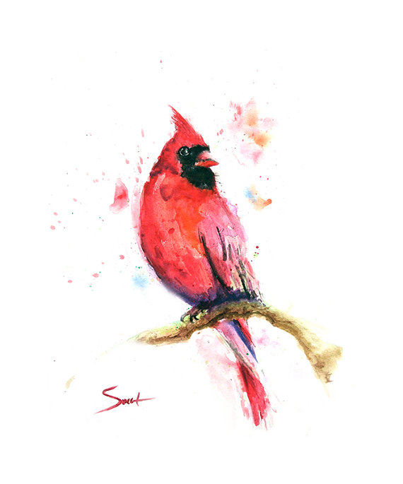 570x685 Red Cardinal Bird Watercolor Cardinal Bird Painting Bird - Cardinal Bird Painting