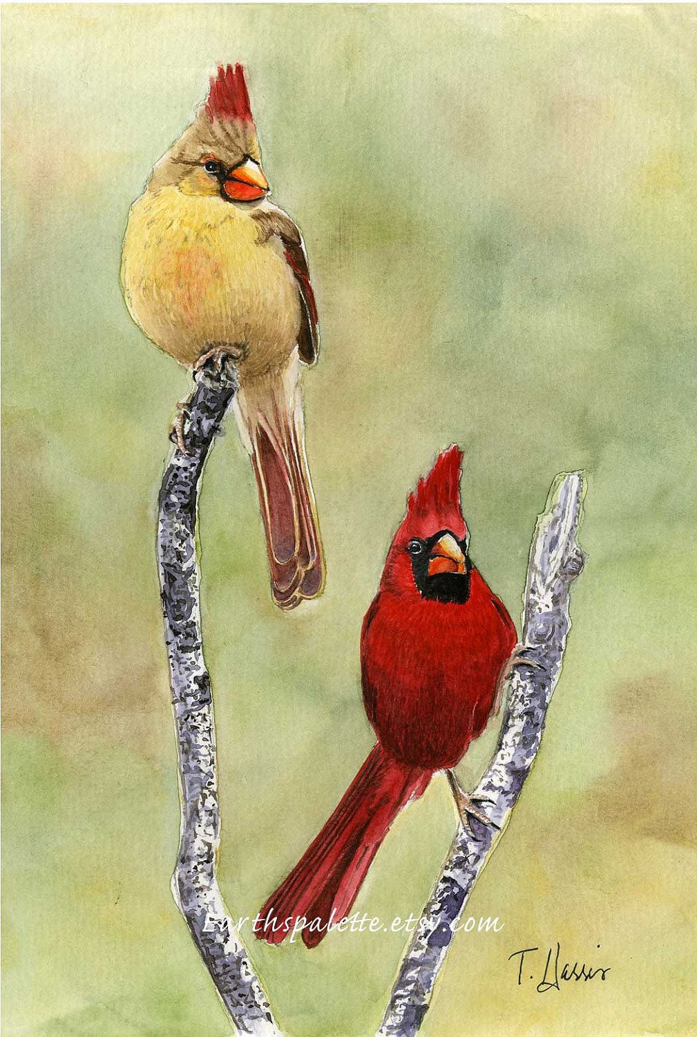 1009x1500 Red Cardinal Bird Painting Southwestern Beauty - Cardinal Bird Painting