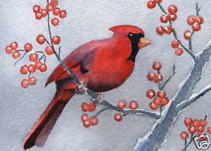 300x214 Cardinal Bird Painting Giclee 5 X 7 Art Print On Wc Paper Signed - Cardinal Bird Painting