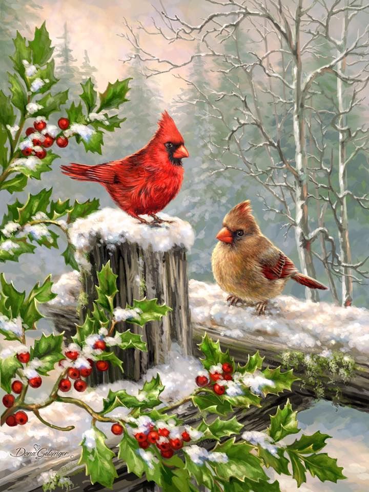 720x960 Cardinals On A Fence In The Snow With Holly Berries. Feather - Cardinal In Snow Painting