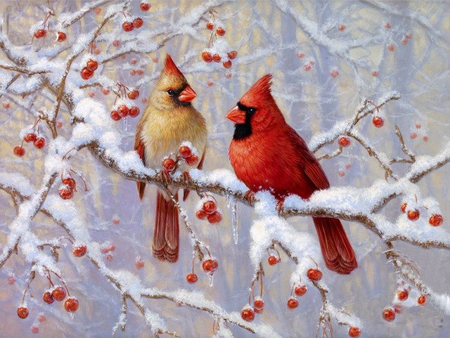 Cardinal In Snow Painting at PaintingValley.com | Explore collection of ...