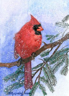 236x331 Artwork Cardinals, Watercolor And Watercolor - Cardinal In Snow Painting