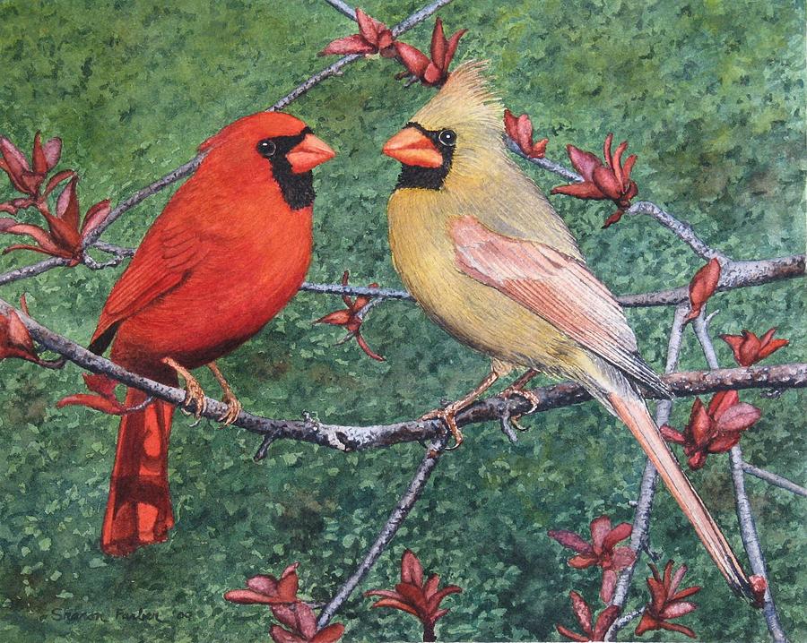 900x718 Cardinals Painting By Sharon Farber - Cardinal Painting