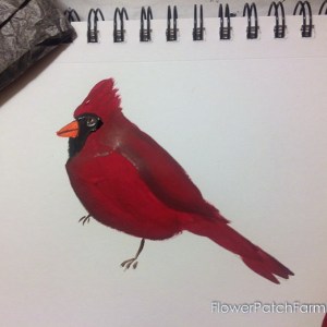 300x300 Paint A Cardinal Ebook - Cardinal Painting