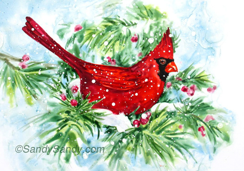 500x351 Winter Cardinal Painting On Yupo By Sandy Sandy Spiritartist - Cardinal Painting