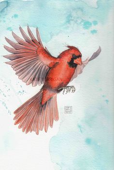 236x351 Cardinal Painting, Original Watercolor, Cardinal And Red Berries - Cardinal Painting