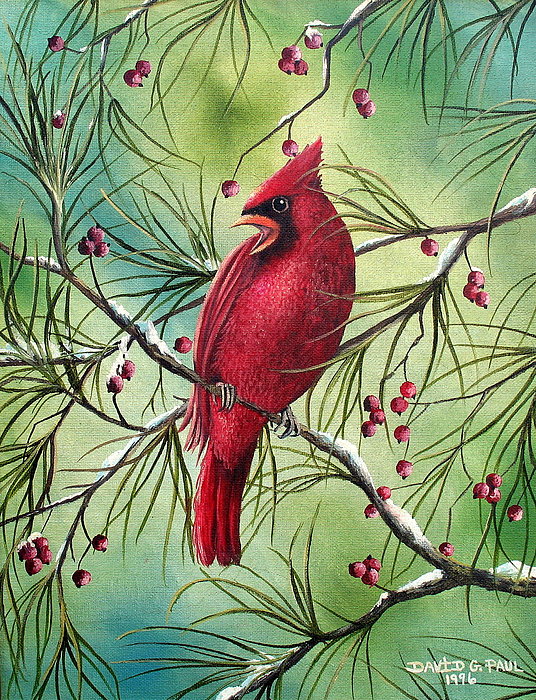536x700 Cardinal Painting By David G Paul - Cardinal Painting