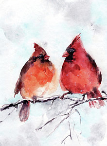220x300 Cardinal Watercolor Paintings Fine Art America - Cardinal Watercolor Painting