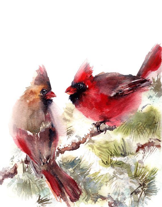 570x726 Cardinal Birds Fine Art Print, Northern Cardinals Couple, Bird - Cardinal Watercolor Painting